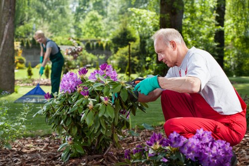 Worker wearing PPE operating gardening equipment safely